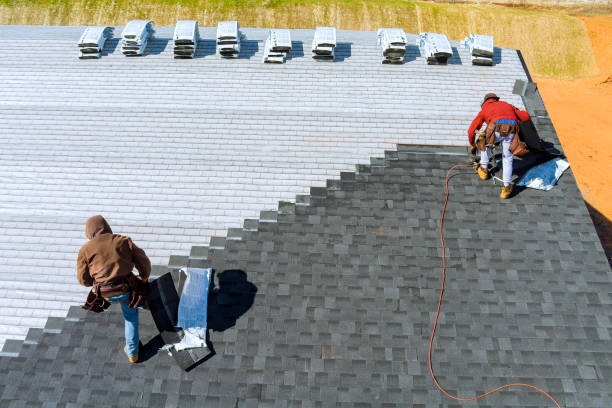 Best Metal Roofing Contractor  in Plainfield, IL
